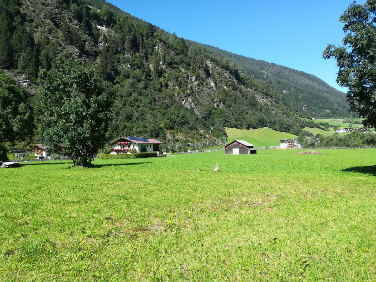 Appartement Schlatterhof à Neustift im Stubaital Extérieur photo